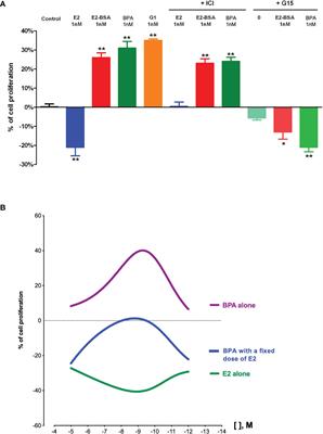 GPER and Testicular Germ Cell Cancer